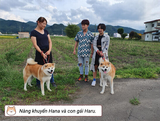 Nàng khuyển Hana và con gái Haru.